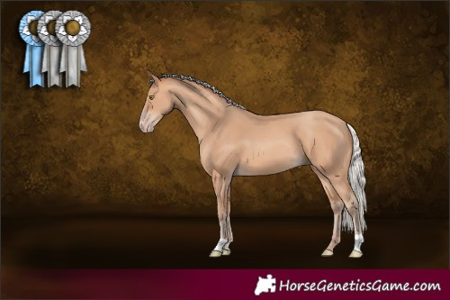 Horse Color:Silver Amber Champagne 