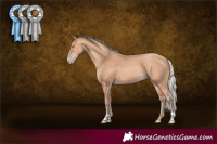 Horse Color:Silver Amber Champagne