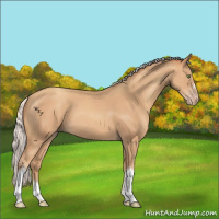 Horse Color:Silver Classic Champagne 