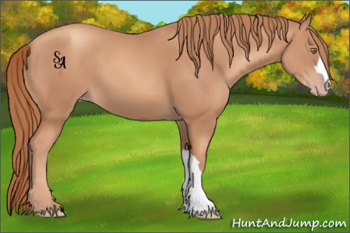 Horse Color:Gold Champagne 