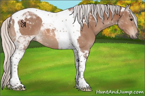 Horse Color:Silver Bay Tobiano 