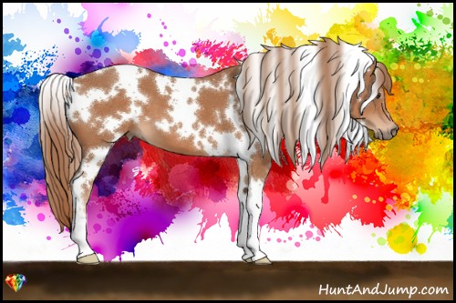 Horse Color:White Spotted Chestnut