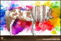 Horse Color:White Spotted Chestnut 