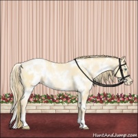 Horse Color:White Spotted Smoky Black Pearl 