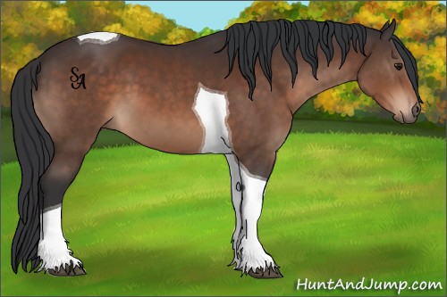 Horse Color:Brown Tobiano 