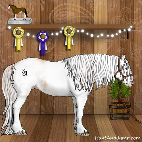Horse Color:White Spotted Silver Amber Champagne Splash