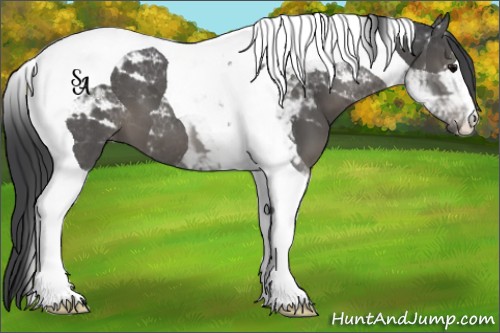 Horse Color:Black Tobiano 