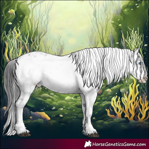 Horse Color:Black Frame 