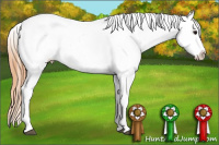 Horse Color:Buckskin Snowcap 