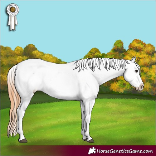 Horse Color:Brown Roan Snowcap