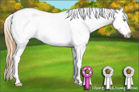 Horse Color:Gold Champagne Splash Blanket 
