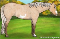 Horse Color:Silver Bay Roan Dun Frame Rabicano