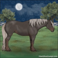 Horse Color:Silver Black 