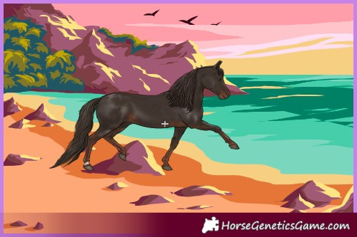 Horse Color:Liver Chestnut 