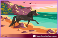 Horse Color:Liver Chestnut 