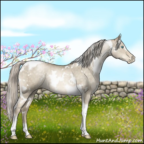 Horse Color:White Spotted Chocolate Palomino Pearl Dun Mushroom Tobiano Brindle
