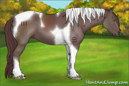 Horse Color:Chocolate Black Tobiano 