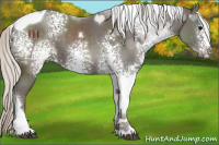 Horse Color:White Spotted Silver Black Tobiano 