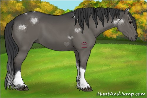 Horse Color:Grullo Tobiano 