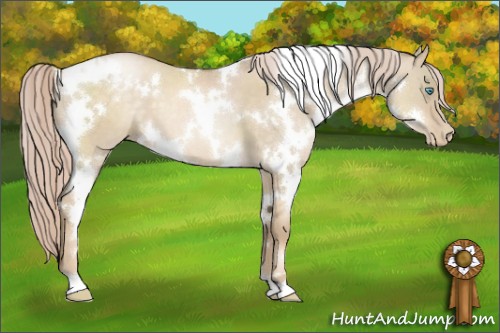 Horse Color:White Spotted Chocolate Palomino Pearl Dun