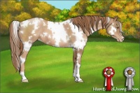 Horse Color:White Spotted Liver Chestnut Pearl 