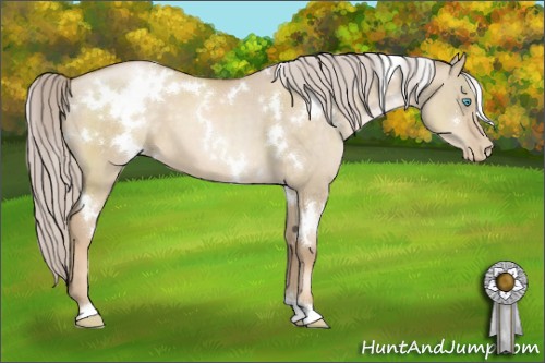 Horse Color:White Spotted Chocolate Palomino Pearl Dun 