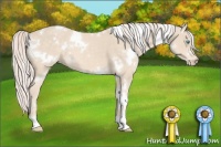 Horse Color:White Spotted Cremello 