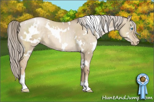 Horse Color:White Spotted Chocolate Palomino Pearl Dun 
