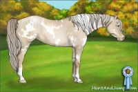 Horse Color:White Spotted Chocolate Palomino Pearl Dun