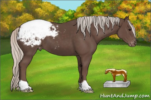 Horse Color:Silver Black Appaloosa 