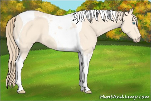 Horse Color:Perlino Tobiano 