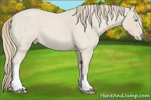 Horse Color:Smoky Creme Roan