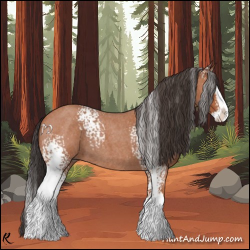 Horse Color:White Spotted Bay Roan Splash