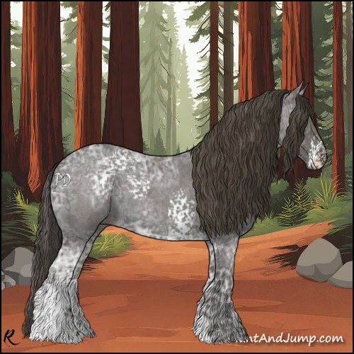 Horse Color:White Spotted Smoky Blue Ice Roan 