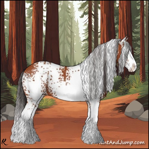 Horse Color:White Spotted Bay Splash 