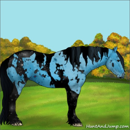 Horse Color:ERROR: UNKNOWN ANOMALY