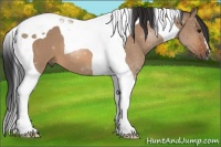 Horse Color:Bay Dun Tobiano 