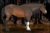 Horse Color:Brown 