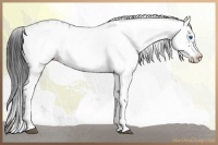 Horse Color:Black Frame 