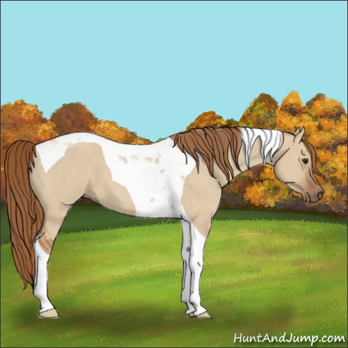 Horse Color:Red Dun Tobiano
