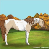 Horse Color:Red Dun Tobiano