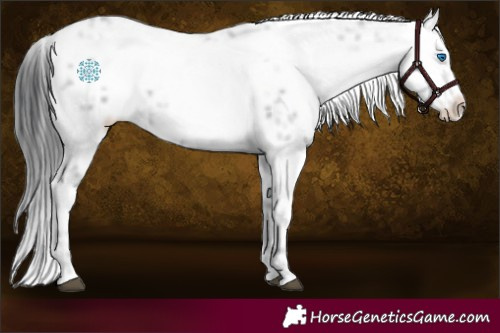 Horse Color:Black Frame 