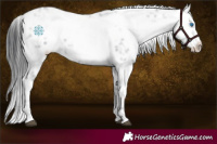 Horse Color:Black Frame 