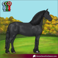 Horse Color:Black 