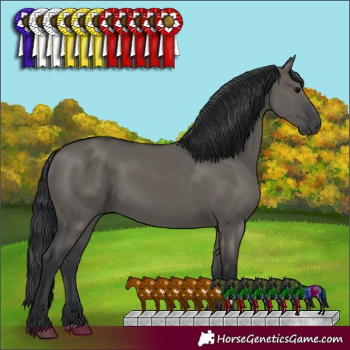 Horse Color:Grullo 