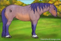 Horse Color:Watercolor Bay Roan 