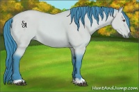 Horse Color:Watercolor Buckskin Dun 