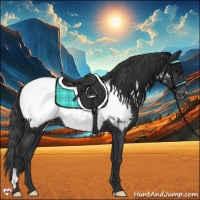 Horse Color:Black Near Fewspot 