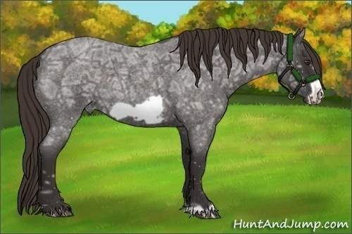 Horse Color:Liver Red Ice Roan Frame 