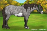 Horse Color:Liver Red Ice Roan Frame